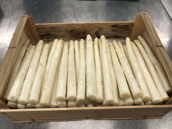 Asperge Blanche Cat 1 Calibre 16/22 (5Kg)